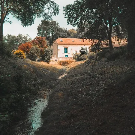 Le Moulin De * L'isle-Bouzon